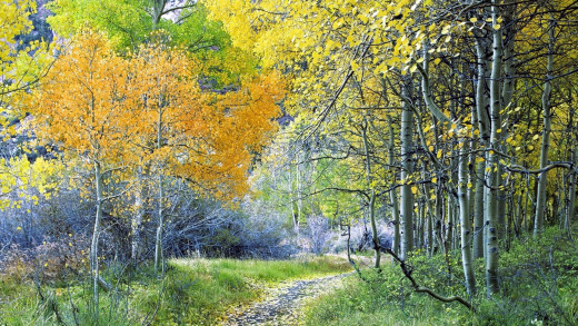 1391578 (a): :1920x1080